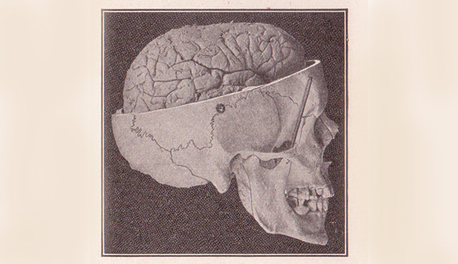 Find happiness: from “How to Build a Happier Brain”